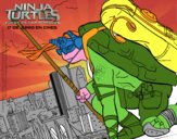 Donatello Ninja Turtles